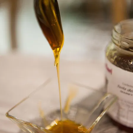 San Michele מלון 3*